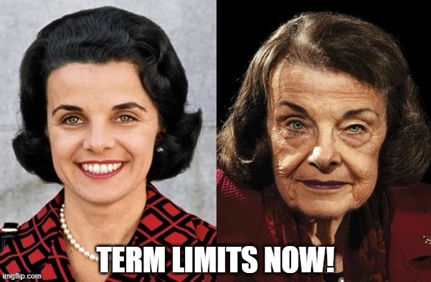 image tagged in democrats,congress,dianne feinstein,term limits | made w/ Imgflip meme maker