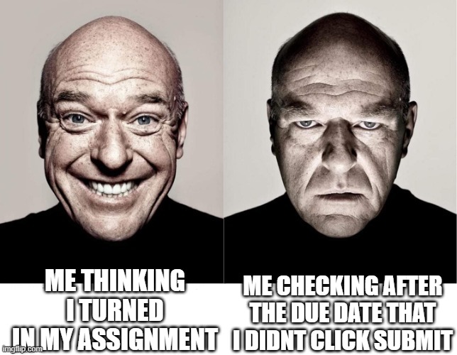 breaking bad smile frown | ME THINKING I TURNED IN MY ASSIGNMENT; ME CHECKING AFTER THE DUE DATE THAT I DIDNT CLICK SUBMIT | image tagged in breaking bad smile frown | made w/ Imgflip meme maker