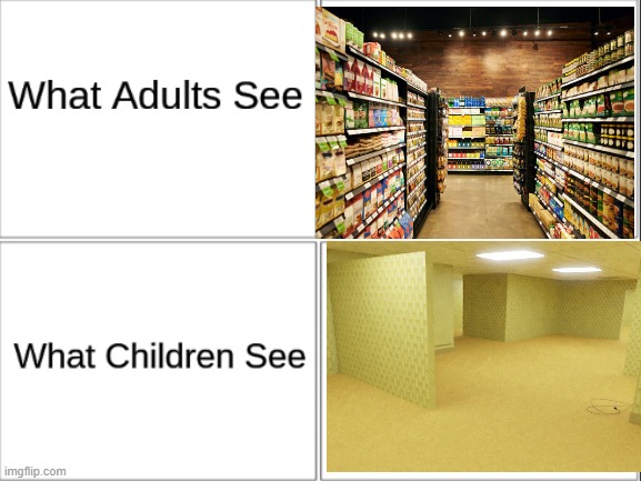 store is backrooms | image tagged in what adults see what children see | made w/ Imgflip meme maker