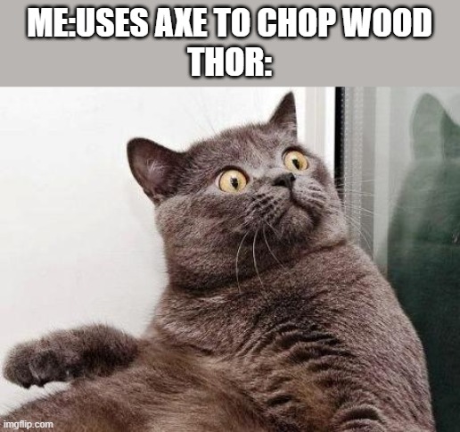 Not sure if this one has been done yet |  ME:USES AXE TO CHOP WOOD

THOR: | image tagged in surprised cat | made w/ Imgflip meme maker