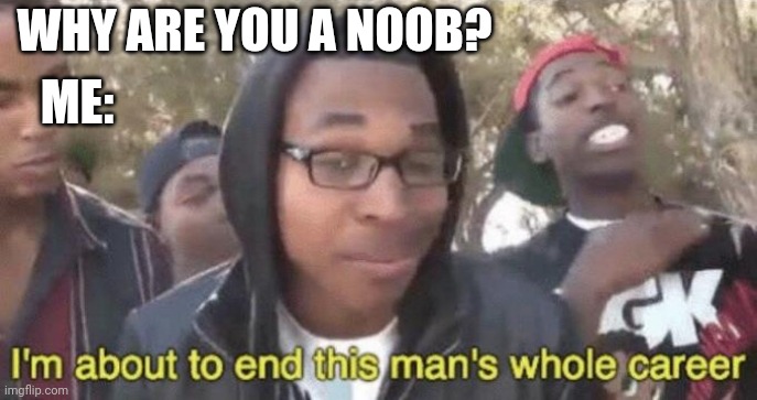 I’m about to end this man’s whole career | WHY ARE YOU A NOOB? ME: | image tagged in i m about to end this man s whole career | made w/ Imgflip meme maker