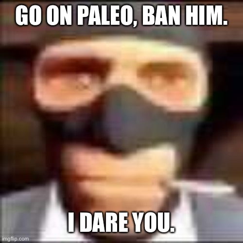 spi | GO ON PALEO, BAN HIM. I DARE YOU. | image tagged in spi | made w/ Imgflip meme maker