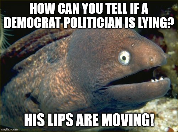 Bad Joke Eel Meme | HOW CAN YOU TELL IF A DEMOCRAT POLITICIAN IS LYING? HIS LIPS ARE MOVING! | image tagged in memes,bad joke eel | made w/ Imgflip meme maker