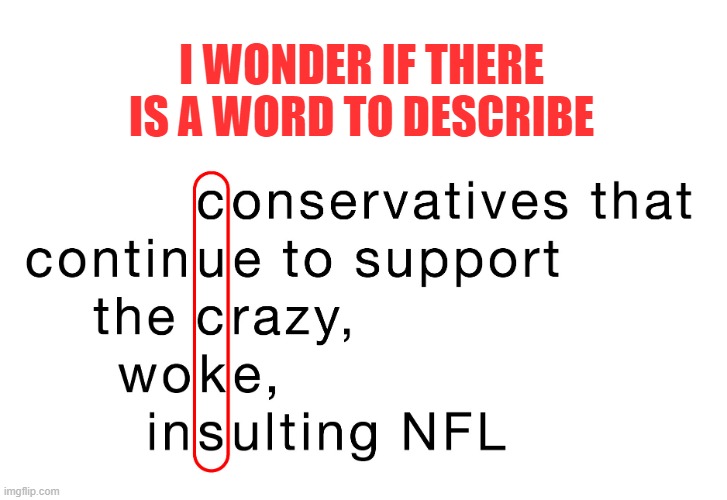 Got to call out hypocrisy within our own ranks | I WONDER IF THERE IS A WORD TO DESCRIBE | image tagged in nfl,woke,conservatives | made w/ Imgflip meme maker