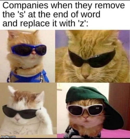 It's International Cat Day | made w/ Imgflip meme maker