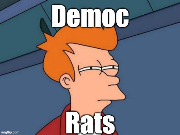 Fry is not sure... | Democ Rats | image tagged in fry is not sure | made w/ Imgflip meme maker