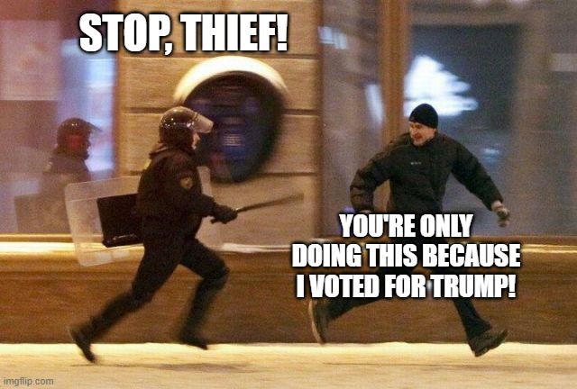 MAGA criminal | STOP, THIEF! YOU'RE ONLY DOING THIS BECAUSE I VOTED FOR TRUMP! | image tagged in police chasing guy,maga | made w/ Imgflip meme maker