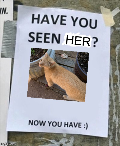 Sweet Pumpkin :3 | HER | image tagged in have you seen him now you have | made w/ Imgflip meme maker