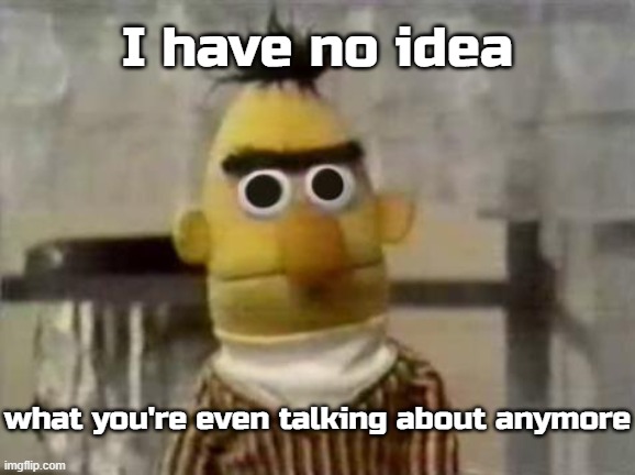 Bert Stare | I have no idea what you're even talking about anymore | image tagged in bert stare | made w/ Imgflip meme maker