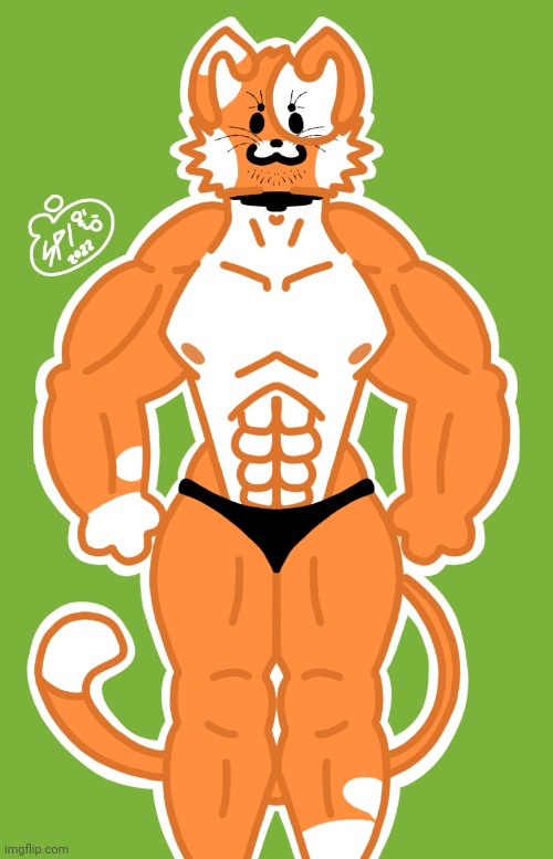 Bill The Buff Cat | image tagged in bill the buff cat | made w/ Imgflip meme maker