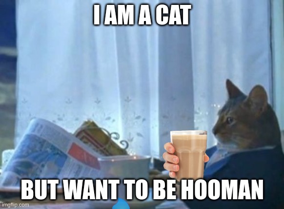Hmm is this a cat or not? | I AM A CAT; BUT WANT TO BE HOOMAN | image tagged in memes | made w/ Imgflip meme maker