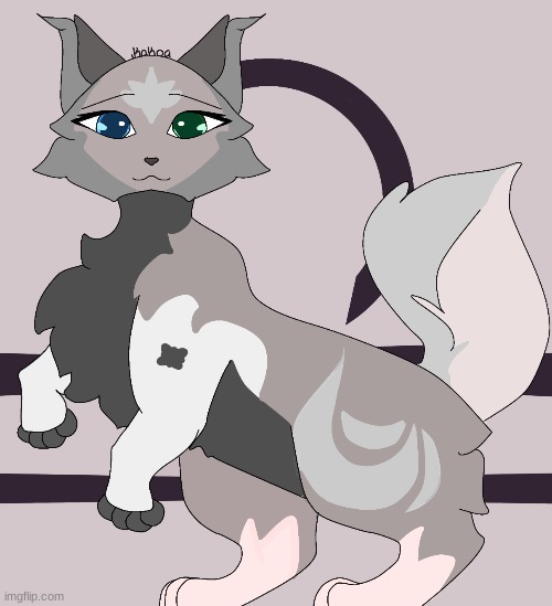Here is Libra! (HAPPY CAT DAY AAAAA) | made w/ Imgflip meme maker