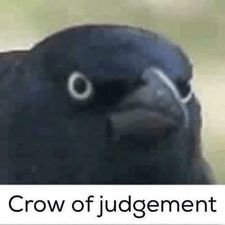 High Quality Crow of judgement Blank Meme Template