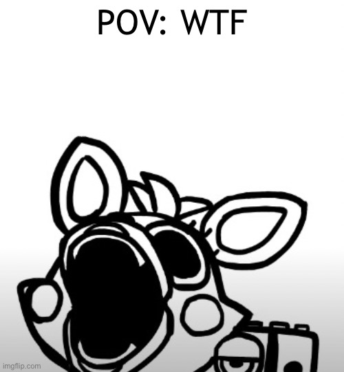 Screaming Mangle | POV: WTF | image tagged in screaming mangle | made w/ Imgflip meme maker