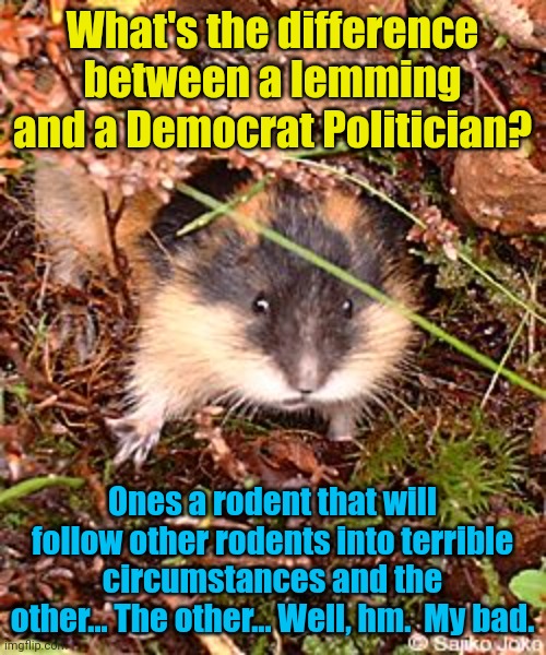 What's the difference between a lemming and a Democrat Politician? Ones a rodent that will follow other rodents into terrible circumstances and the other... The other... Well, hm.  My bad. | image tagged in lemmings,democrats | made w/ Imgflip meme maker