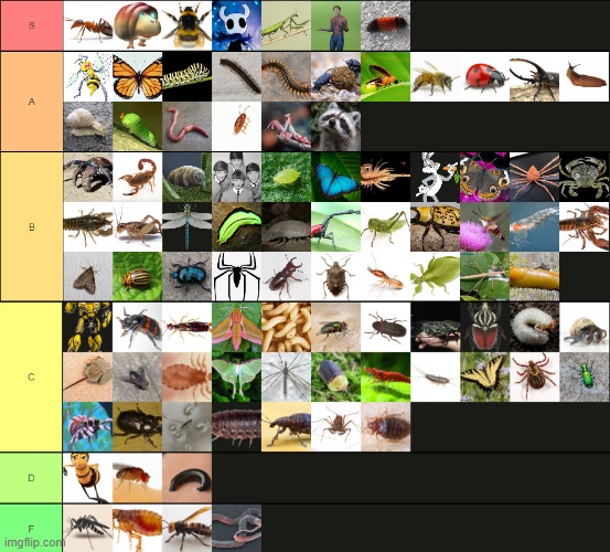 bug tier list | made w/ Imgflip meme maker