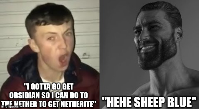 Blue sheep | ''I GOTTA GO GET OBSIDIAN SO I CAN DO TO THE NETHER TO GET NETHERITE"; "HEHE SHEEP BLUE" | image tagged in average enjoyer meme | made w/ Imgflip meme maker