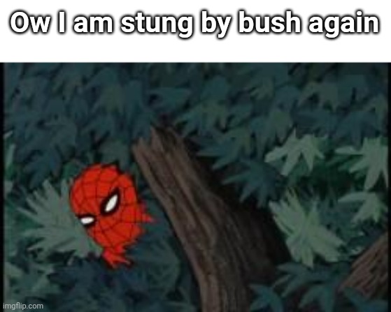 spiderman in bushes | Ow I am stung by bush again | image tagged in spiderman in bushes | made w/ Imgflip meme maker
