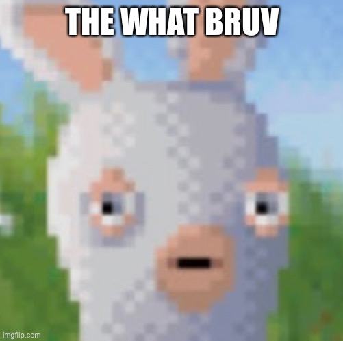 THE WHAT BRUV | made w/ Imgflip meme maker