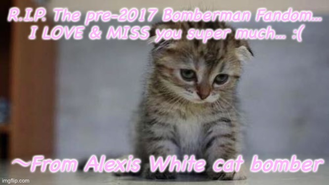 Sad kitten | R.I.P. The pre-2017 Bomberman Fandom...
I LOVE & MISS you super much... :( 〜From Alexis White cat bomber | image tagged in sad kitten | made w/ Imgflip meme maker