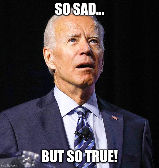 Joe Biden | SO SAD... BUT SO TRUE! | image tagged in joe biden | made w/ Imgflip meme maker