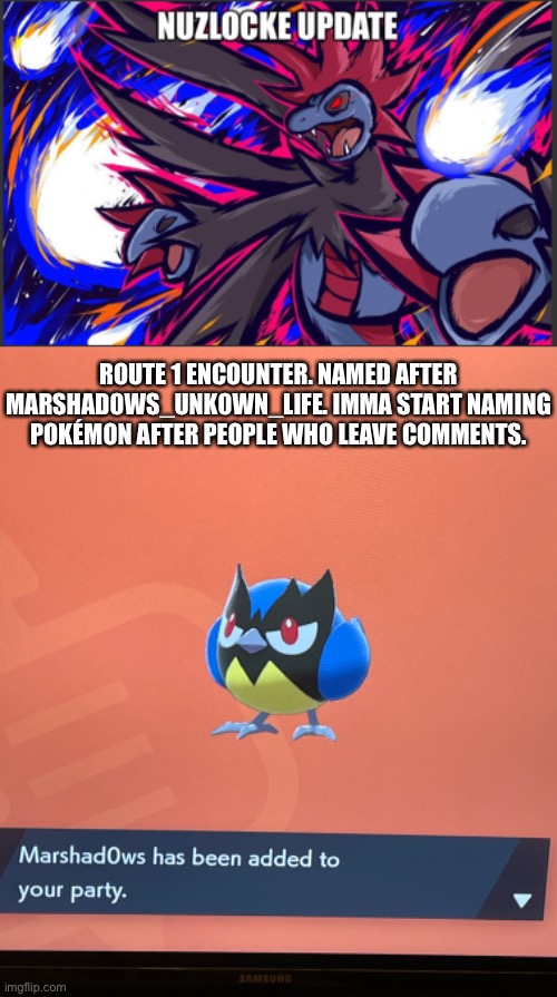 Pokémon Sword Nuzlocke part 2 | ROUTE 1 ENCOUNTER. NAMED AFTER MARSHAD0WS_UNK0WN_LIFE. IMMA START NAMING POKÉMON AFTER PEOPLE WHO LEAVE COMMENTS. | image tagged in pokemon | made w/ Imgflip meme maker