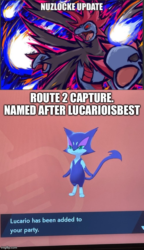 Nuzlocke part 3. I named a cat after a dog | ROUTE 2 CAPTURE. NAMED AFTER LUCARIOISBEST | image tagged in pokemon | made w/ Imgflip meme maker