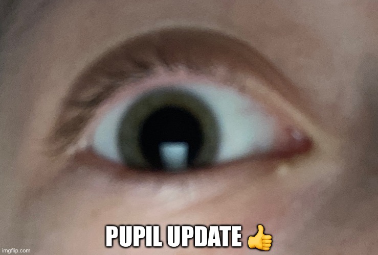 PUPIL UPDATE 👍 | made w/ Imgflip meme maker