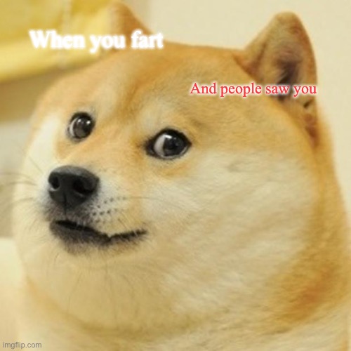 Doge Meme | When you fart; And people saw you | image tagged in memes,doge | made w/ Imgflip meme maker