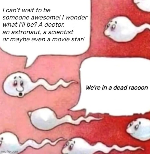 Sperm conversation | I can't wait to be someone awesome! I wonder what I'll be? A doctor, an astronaut, a scientist or maybe even a movie star! We're in a dead racoon | image tagged in sperm conversation | made w/ Imgflip meme maker