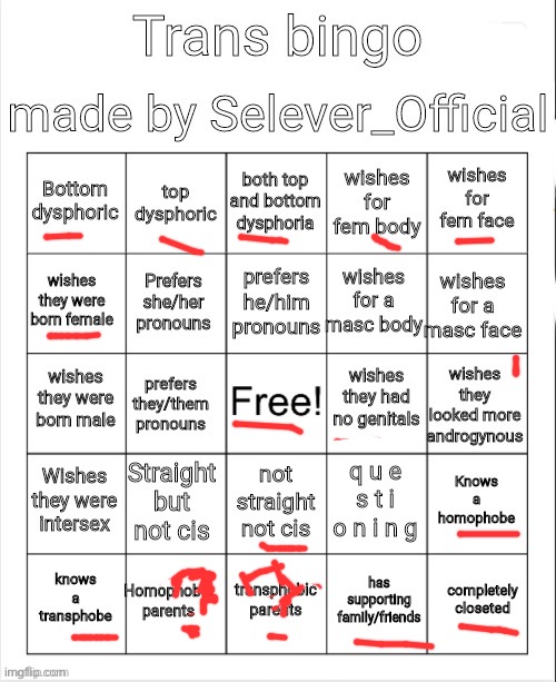 I got a bingo | image tagged in trans bingo | made w/ Imgflip meme maker