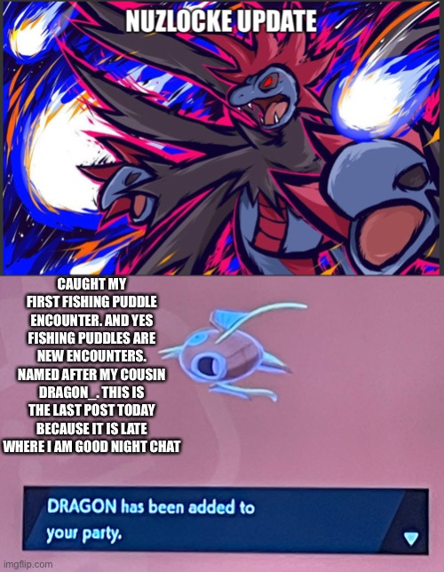 Nuzlocke part 4. Good night, will post in the morning. | CAUGHT MY FIRST FISHING PUDDLE ENCOUNTER. AND YES FISHING PUDDLES ARE NEW ENCOUNTERS. NAMED AFTER MY COUSIN DRAGON_. THIS IS THE LAST POST TODAY BECAUSE IT IS LATE WHERE I AM GOOD NIGHT CHAT | image tagged in pokemon | made w/ Imgflip meme maker