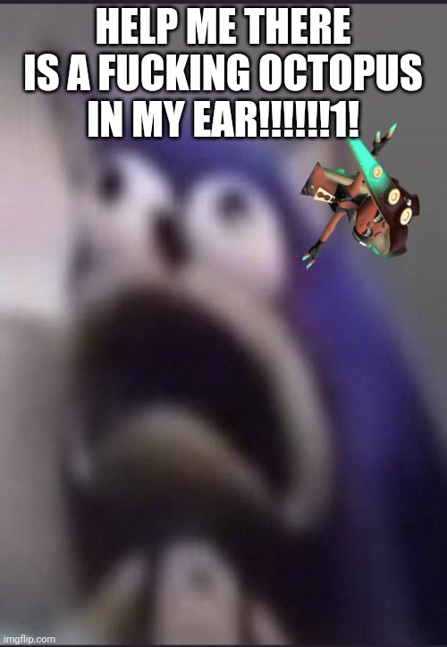 aughhhhhhhhhhhhhhhhhhh | HELP ME THERE IS A FUCKING OCTOPUS IN MY EAR!!!!!!1! | image tagged in aughhhhhhhhhhhhhhhhhhh | made w/ Imgflip meme maker