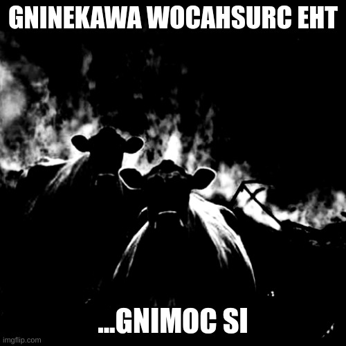 LLA SU LLIK LLIW WOCAHSURC EHT | GNINEKAWA WOCAHSURC EHT; ...GNIMOC SI | image tagged in memes,not funny,scary,worry,wocahsurc,stop reading the tags | made w/ Imgflip meme maker