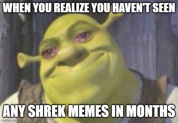 Crying shrek | WHEN YOU REALIZE YOU HAVEN'T SEEN; ANY SHREK MEMES IN MONTHS | image tagged in crying shrek | made w/ Imgflip meme maker