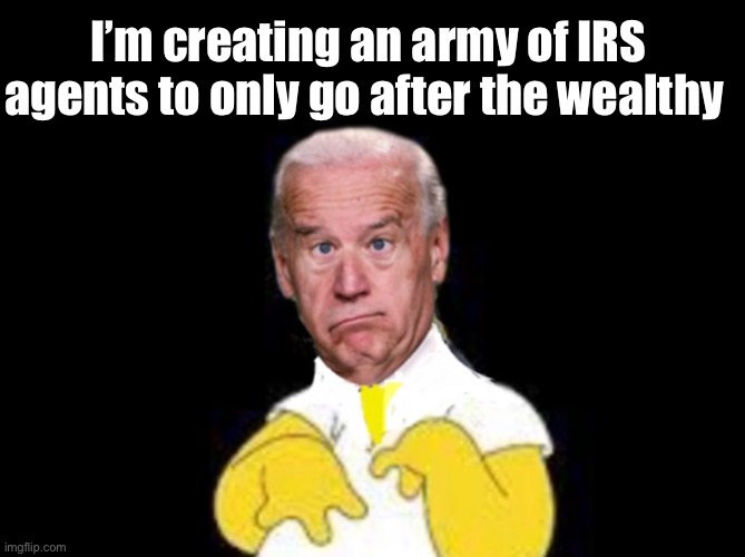 Those poor rich folks | I’m creating an army of IRS agents to only go after the wealthy | image tagged in politics lol,memes,derp | made w/ Imgflip meme maker