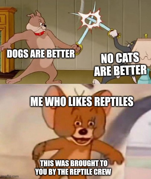 Tom and Jerry swordfight | DOGS ARE BETTER; NO CATS ARE BETTER; ME WHO LIKES REPTILES; THIS WAS BROUGHT TO YOU BY THE REPTILE CREW | image tagged in tom and jerry swordfight | made w/ Imgflip meme maker