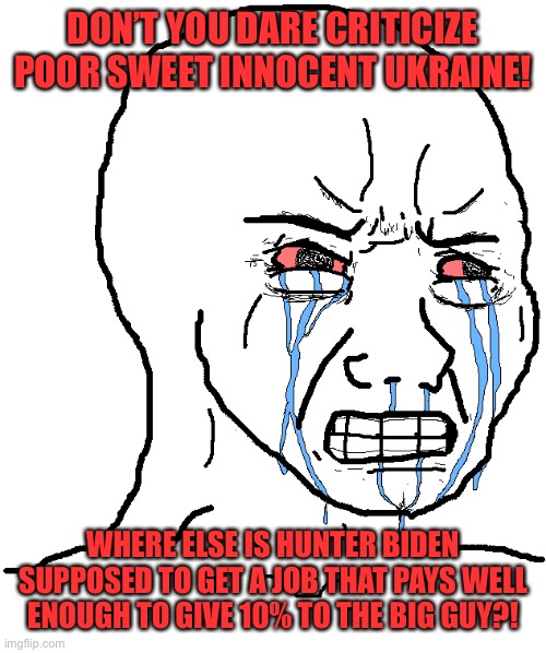 cry wojak | DON’T YOU DARE CRITICIZE POOR SWEET INNOCENT UKRAINE! WHERE ELSE IS HUNTER BIDEN SUPPOSED TO GET A JOB THAT PAYS WELL ENOUGH TO GIVE 10% TO  | image tagged in cry wojak | made w/ Imgflip meme maker