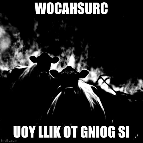 WOCAHSURC UOY LLIK OT GNIOG SI | image tagged in egami dekael wocahsurc | made w/ Imgflip meme maker