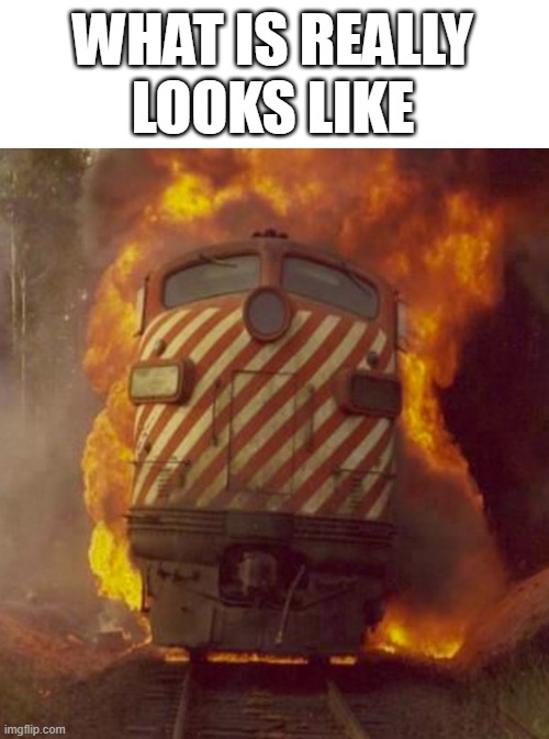 CHOO CHOO | WHAT IS REALLY
LOOKS LIKE | image tagged in choo choo | made w/ Imgflip meme maker
