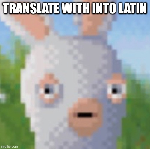 Rabeed | TRANSLATE WITH INTO LATIN | image tagged in rabeed | made w/ Imgflip meme maker