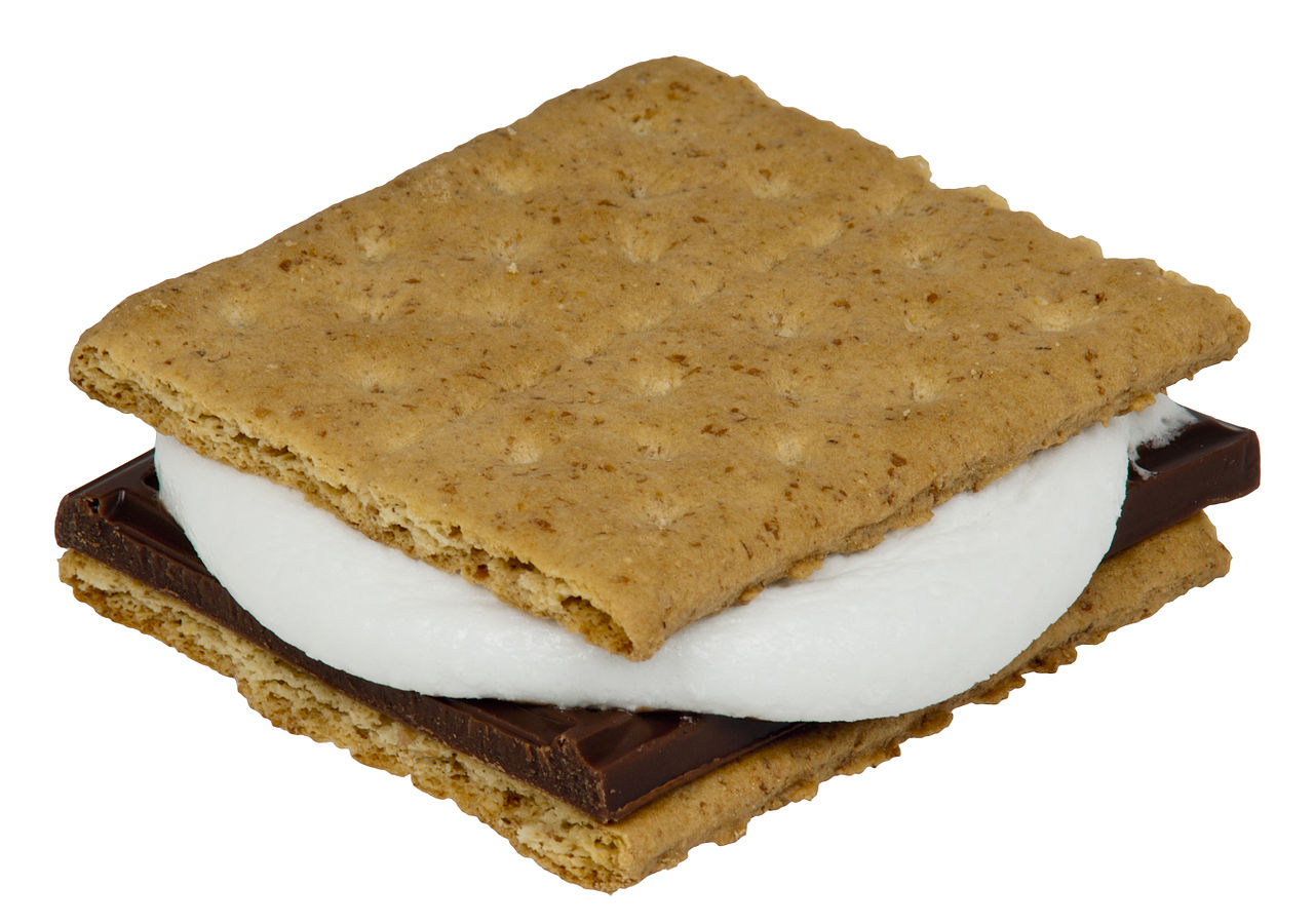 Smore made in a microwave Blank Meme Template