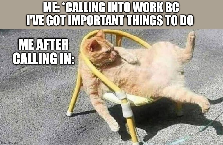  ME: *CALLING INTO WORK BC I'VE GOT IMPORTANT THINGS TO DO; ME AFTER CALLING IN: | image tagged in funny memes | made w/ Imgflip meme maker