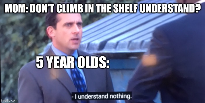 I don’t understand mom | MOM: DON’T CLIMB IN THE SHELF UNDERSTAND? 5 YEAR OLDS: | image tagged in steve carrel didn t understand | made w/ Imgflip meme maker