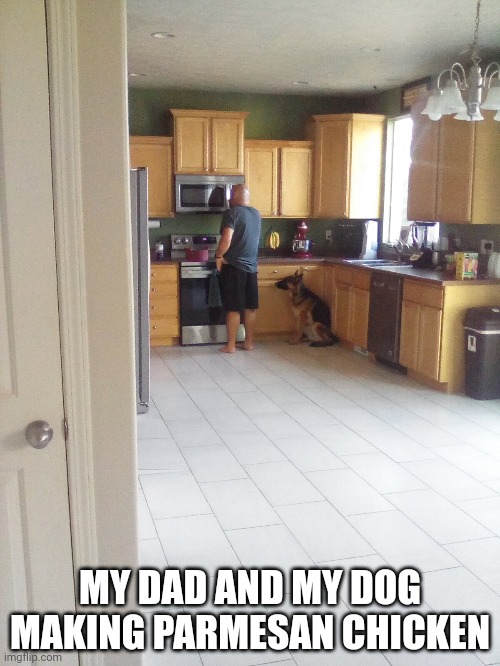 MY DAD AND MY DOG MAKING PARMESAN CHICKEN | made w/ Imgflip meme maker