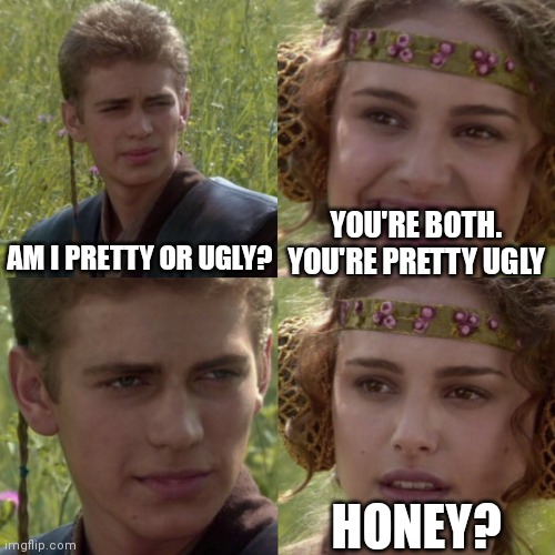 For the better right blank |  YOU'RE BOTH. YOU'RE PRETTY UGLY; AM I PRETTY OR UGLY? HONEY? | image tagged in for the better right blank | made w/ Imgflip meme maker