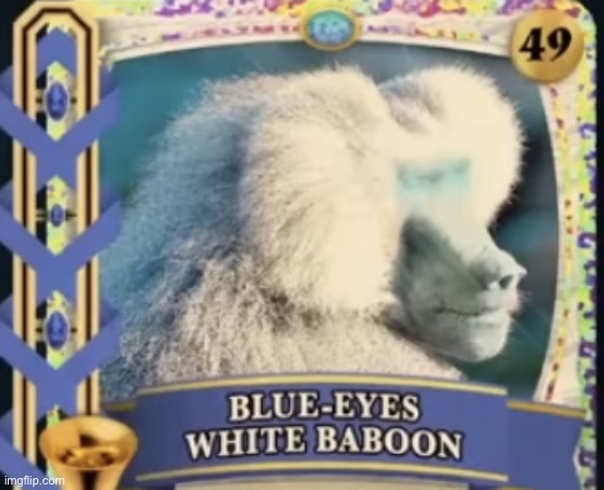 Blue-Eyes White Baboon | image tagged in blue eyes white baboon | made w/ Imgflip meme maker