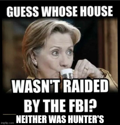 Political hit job... | NEITHER WAS HUNTER'S | image tagged in banana,republic,police state | made w/ Imgflip meme maker