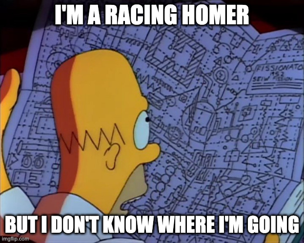 Homer Simpson Complicated | I'M A RACING HOMER; BUT I DON'T KNOW WHERE I'M GOING | image tagged in homer simpson complicated | made w/ Imgflip meme maker