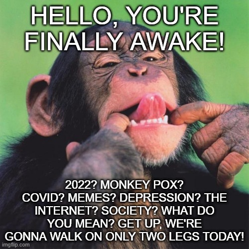. | HELLO, YOU'RE FINALLY AWAKE! 2022? MONKEY POX? COVID? MEMES? DEPRESSION? THE INTERNET? SOCIETY? WHAT DO YOU MEAN? GET UP, WE'RE GONNA WALK ON ONLY TWO LEGS TODAY! | image tagged in monkey tongue,monkey,human evolution,memes,you're finally awake,society | made w/ Imgflip meme maker